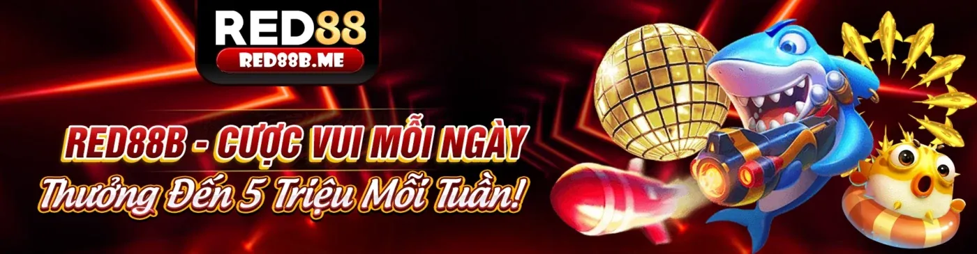 Tổng quan về 888vnđ - Nền tảng cá cược trực tuyến
